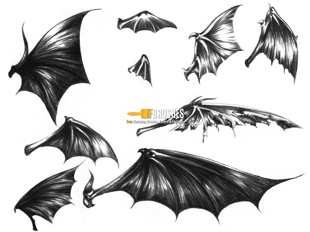 Dark Demon Wings