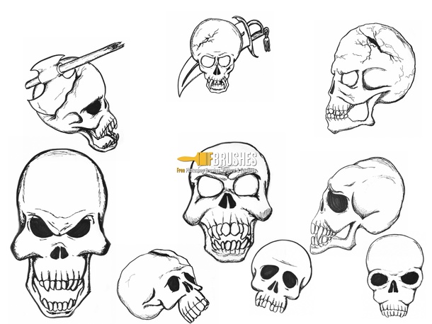 Drawn Skulls