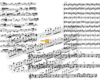 Musical Notes