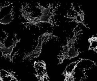 splash photoshop brushes free download splash photoshop brushes free download