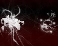 Fantasy Flowers