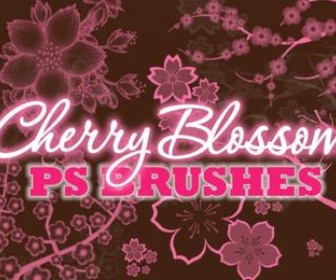 Cherry Blossom Brushes