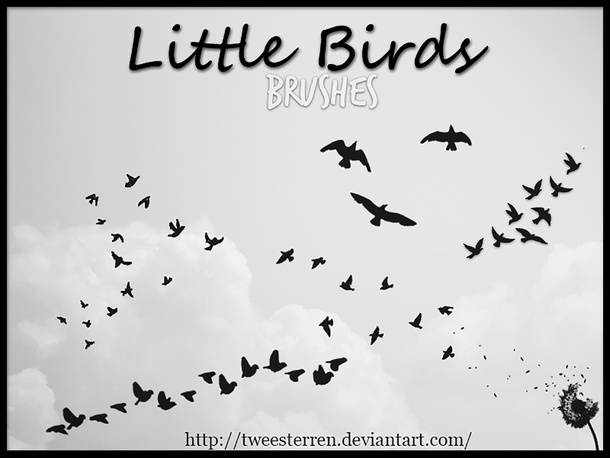 Tiny Little Birds