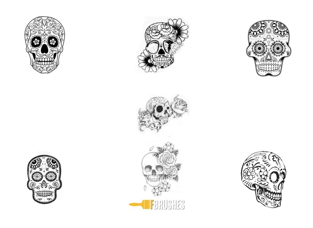Skull Delight