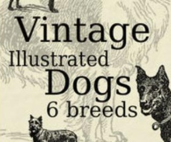 Vintage Illust. Dogs Brushpack