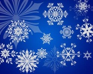 Snowflakes Brushes Set