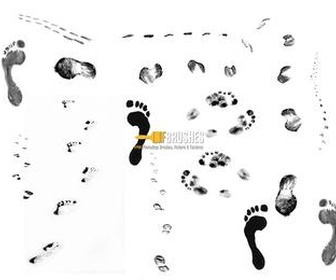 Printed Footsteps