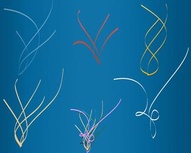 Windy Ribbons