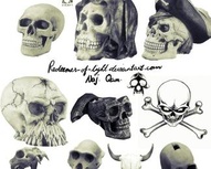 25 Skull Brushes