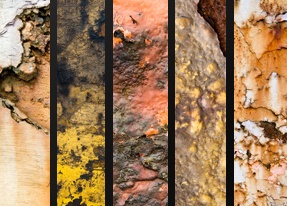 Awesome Rust Textures