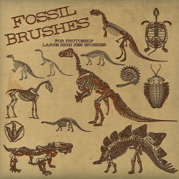 Fossilized Dinosaurs