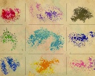 Beautiful Watercolor Brushes