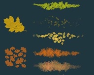 Leaves Collection