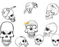 Drawn Skulls