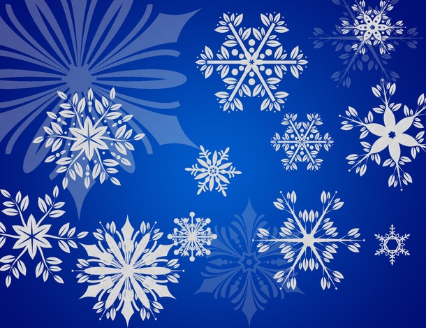 Snowflakes Brushes Set