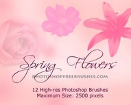 Spring Flowers Photoshop Brushes Vol. 2