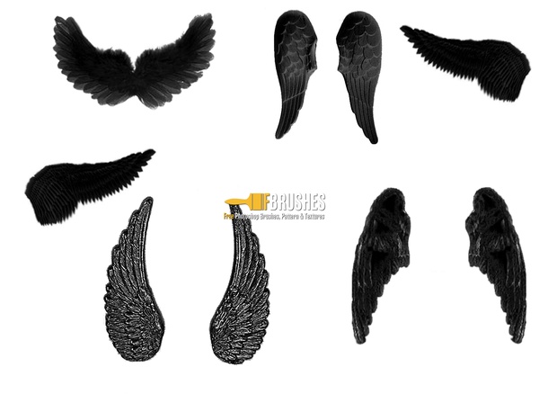 Feathered Wings