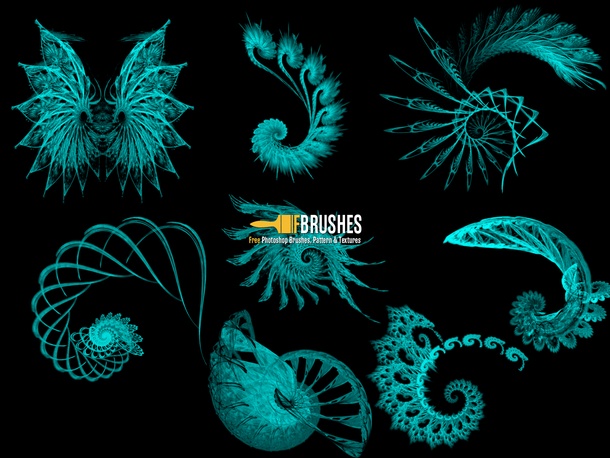 Fractal Nature
