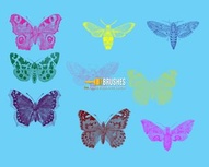 Flying Insects