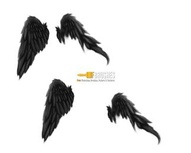 Broken Wings Blackbird