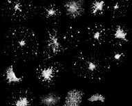 City Lights Brushes