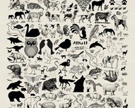 Lots of Animals