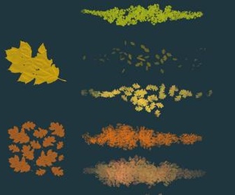 Leaves Collection