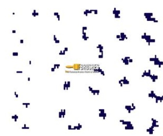 Pixel Nation