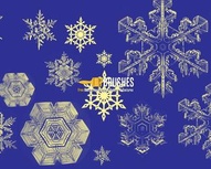 Snowflakes Falling