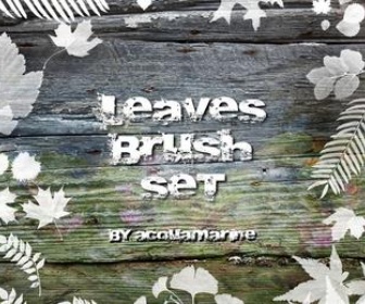 Lovely Leaves Brush Set