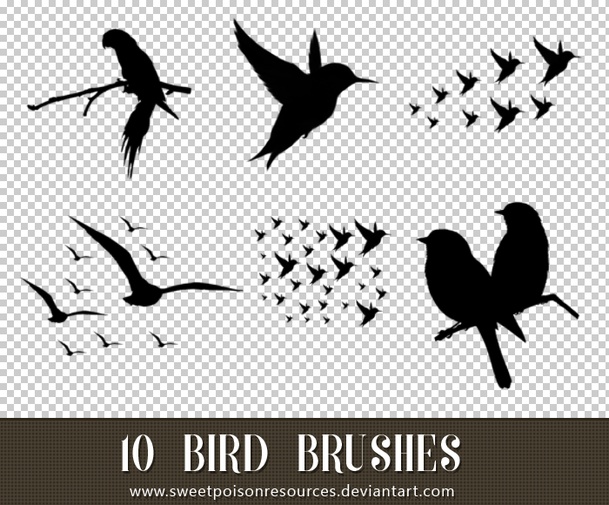 Bird Silhouettes